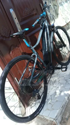Électrique Bike Riverside