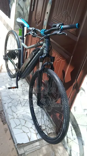 Électrique Bike Riverside
