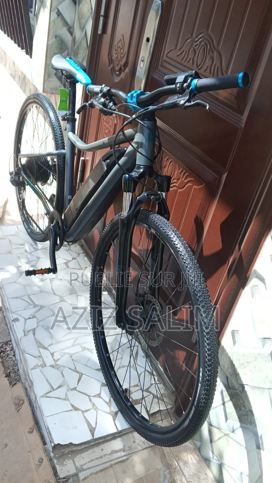 Électrique Bike Riverside
