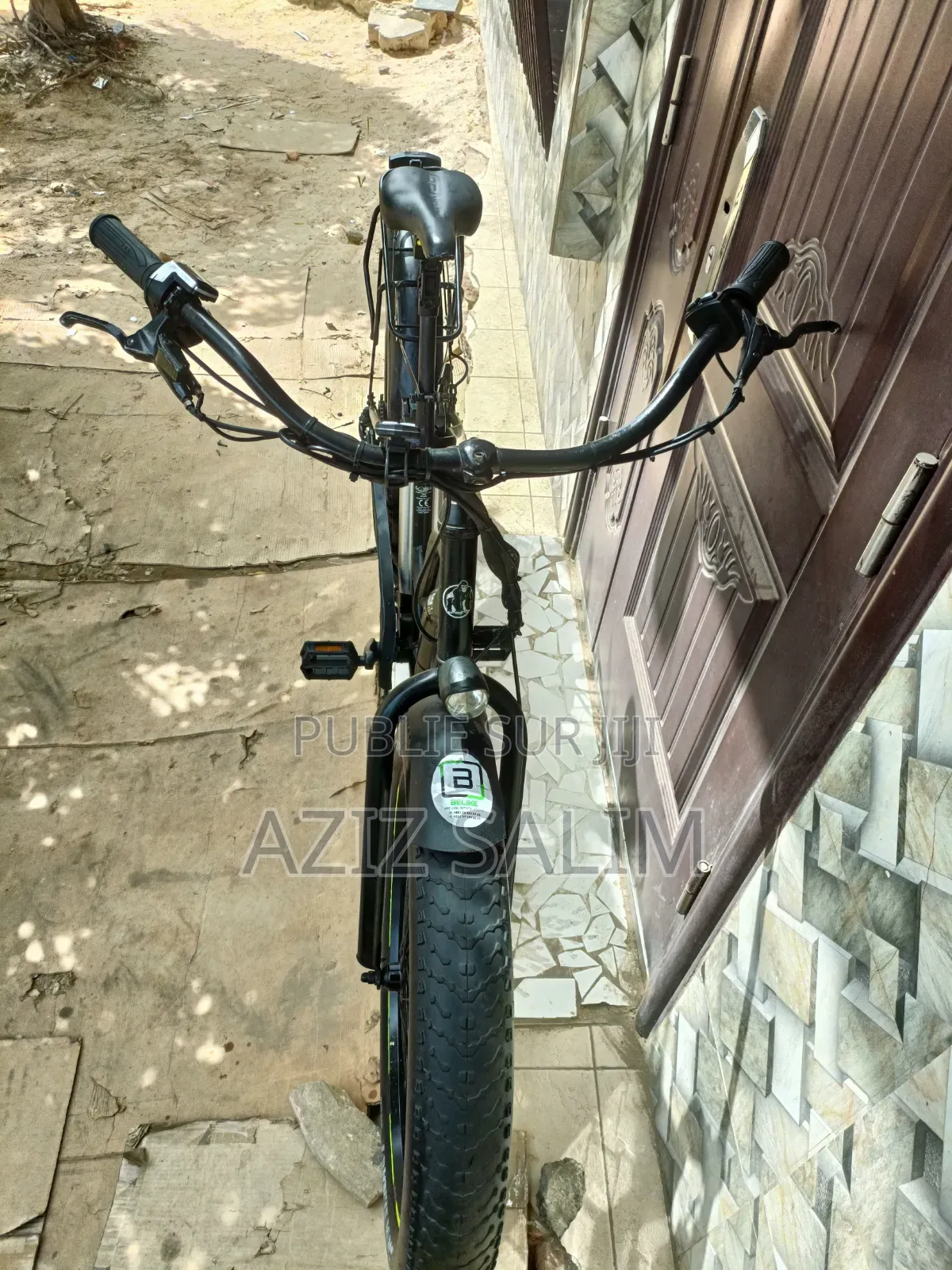 Fat Bike Électrique