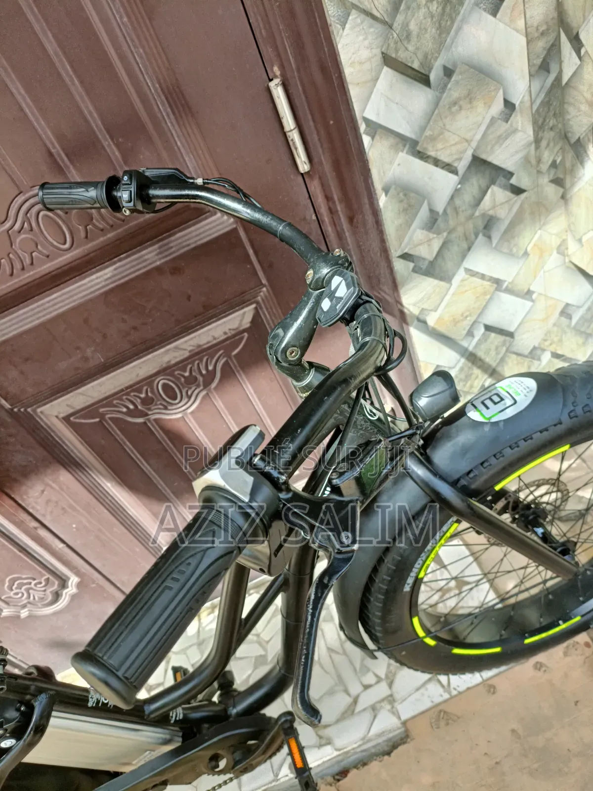 Fat Bike Électrique