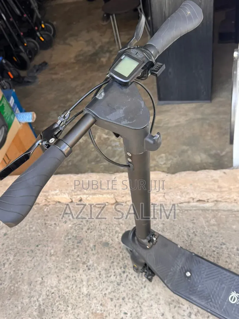 Trottinette Électrique Océan Drive