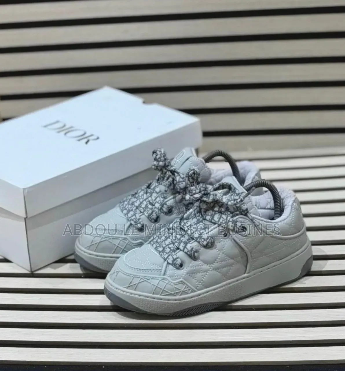 Dior B9s Gris Disponible