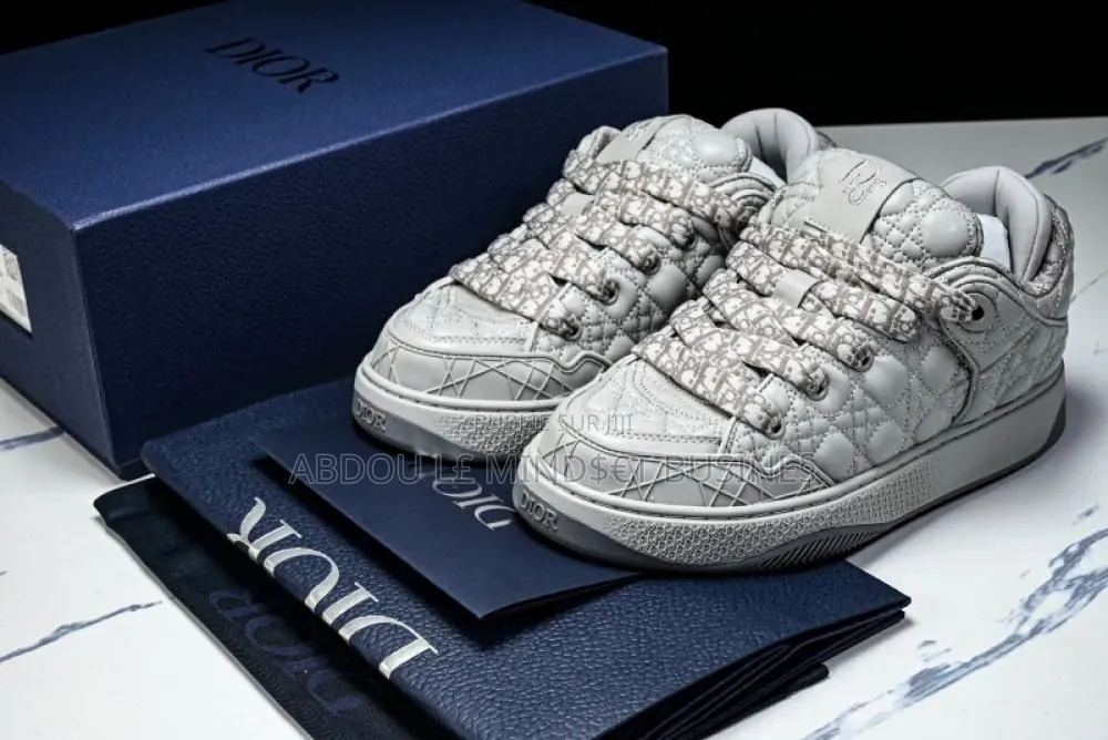Dior B9s Gris Disponible
