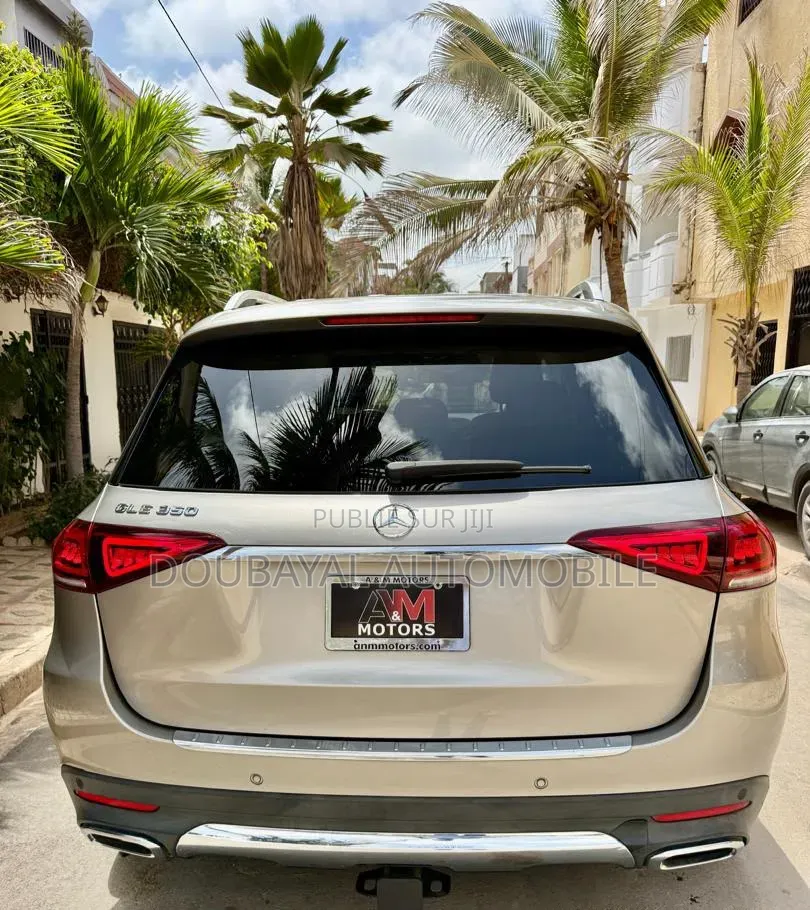 Mercedes-Benz GLE-Class 2020 Autre