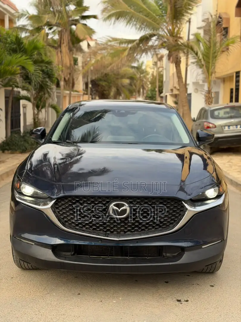 Mazda CX-30 2021 Bleu