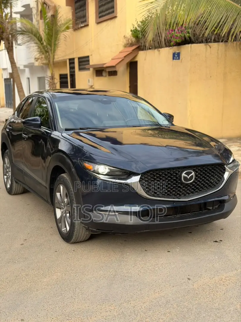 Mazda CX-30 2021 Bleu