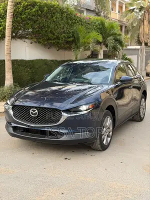 Mazda CX-30 2021 Bleu