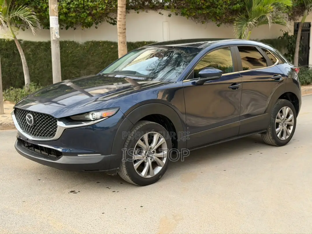 Mazda CX-30 2021 Bleu