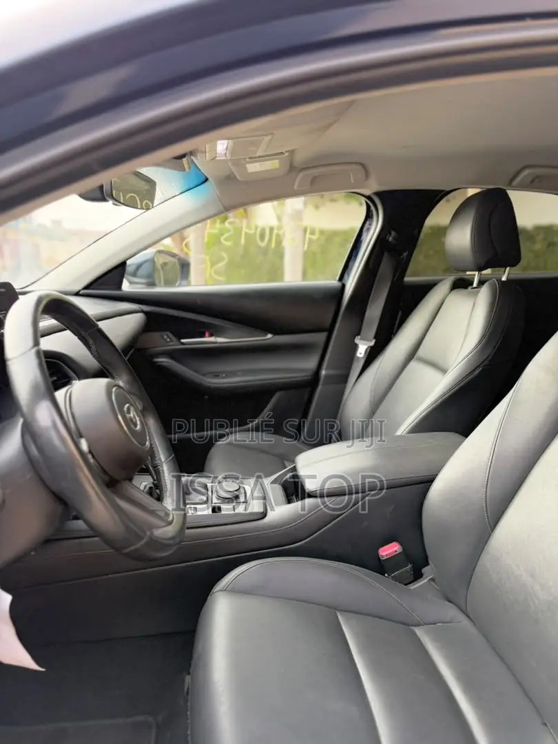Mazda CX-30 2021 Bleu