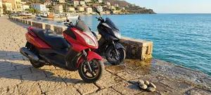 Yamaha Majesty 2017 Marron