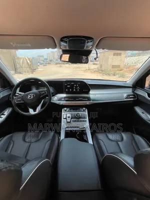 Hyundai Palissade 2019 Noir