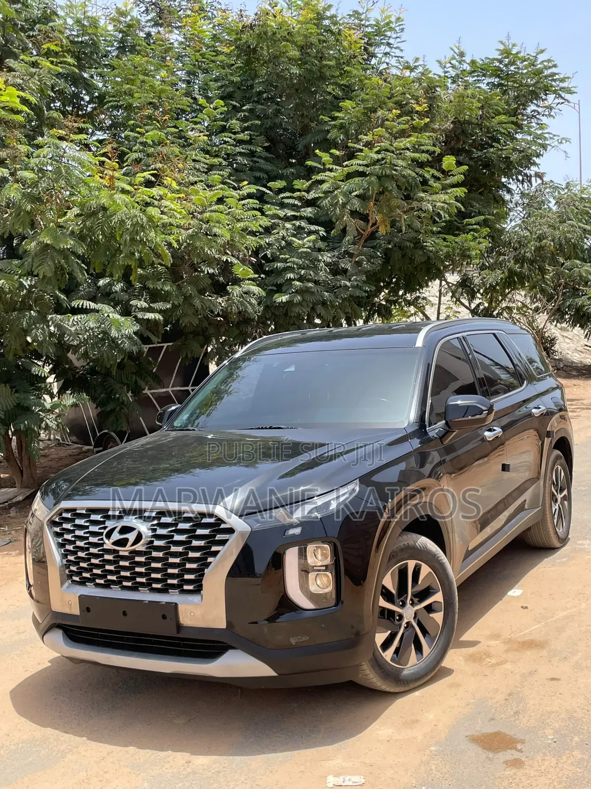 Hyundai Palissade 2019 Noir