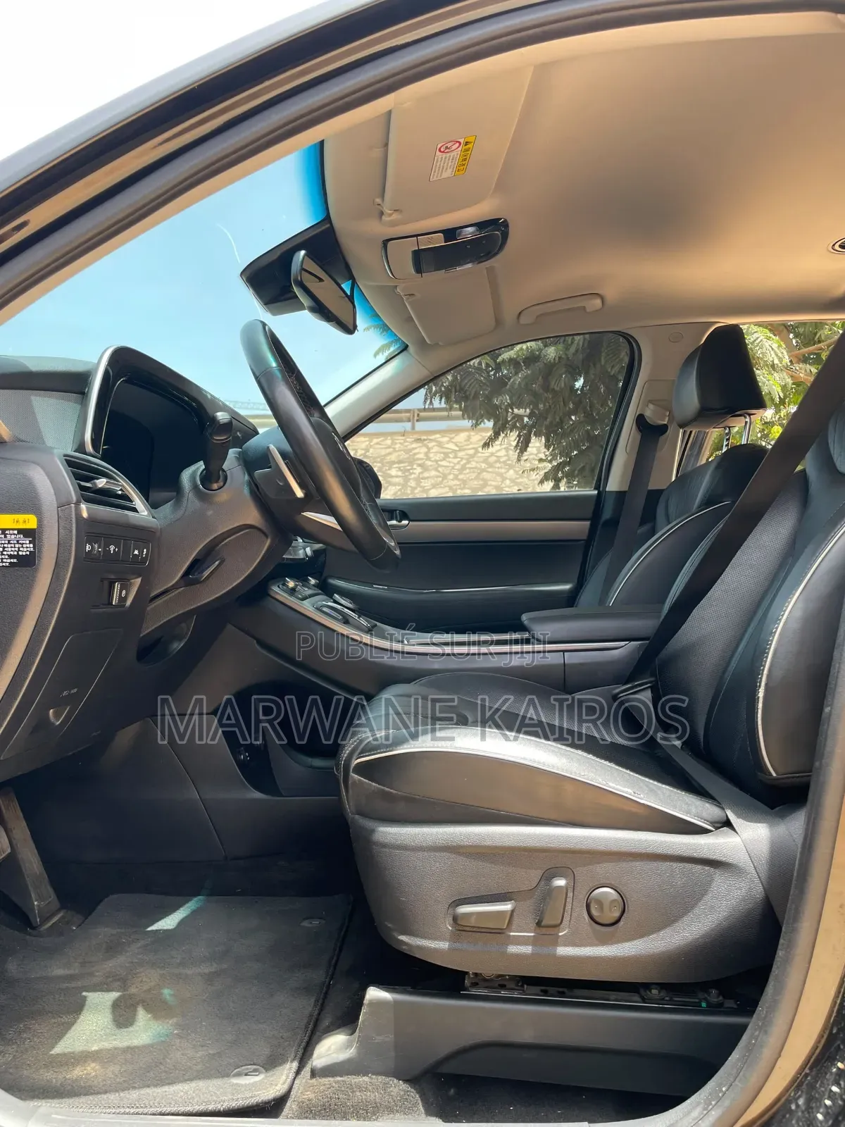 Hyundai Palissade 2019 Noir