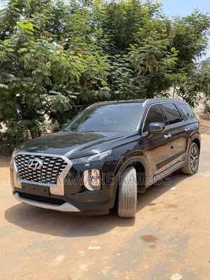 Hyundai Palissade 2019 Noir
