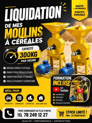 Moulin a Cereales Disponible Au Senegal