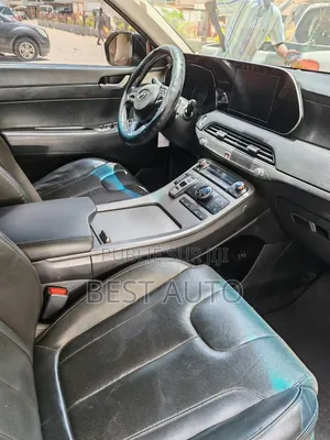 Hyundai Palissade 2021 Noir