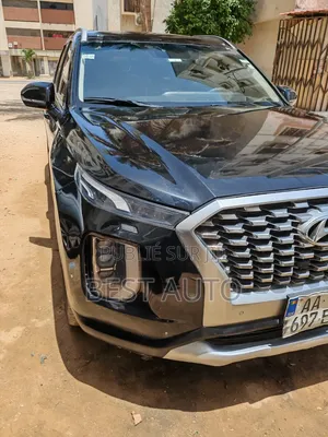 Hyundai Palissade 2021 Noir