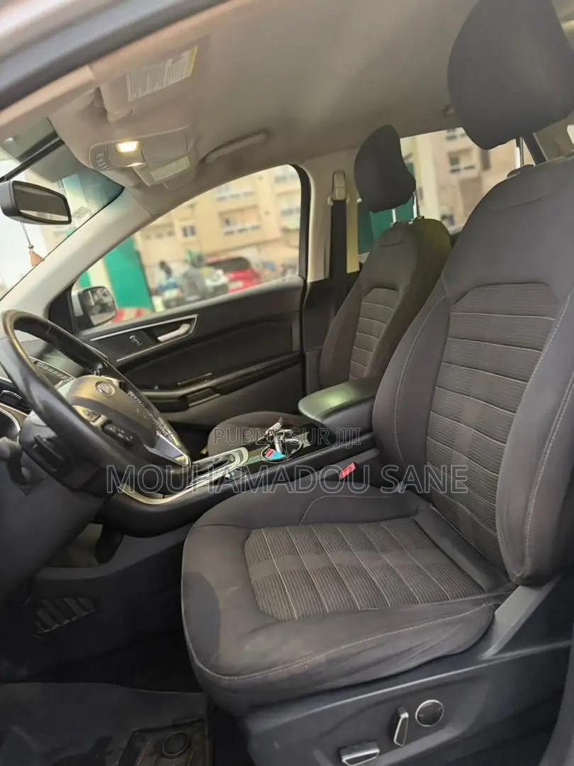 Ford Edge SEL 4dr SUV (2.0L 4cyl Turbo 6A) 2015 Gris