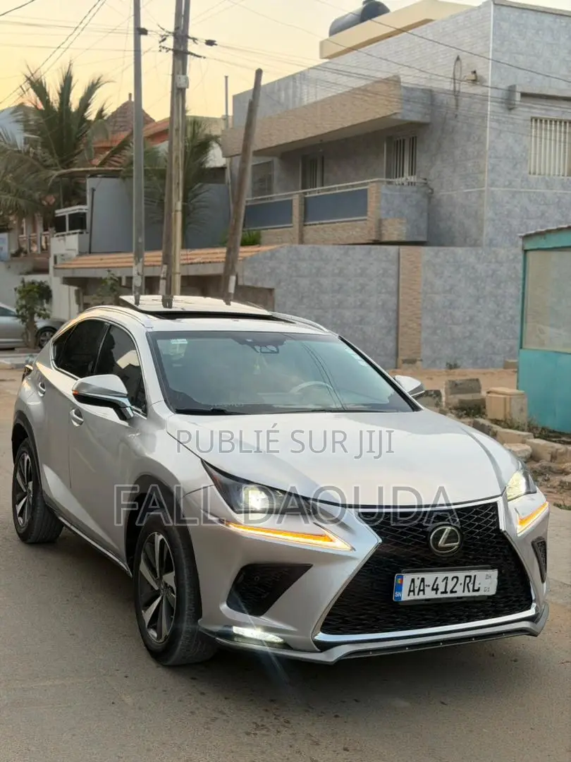 Lexus NX 2020 Gris