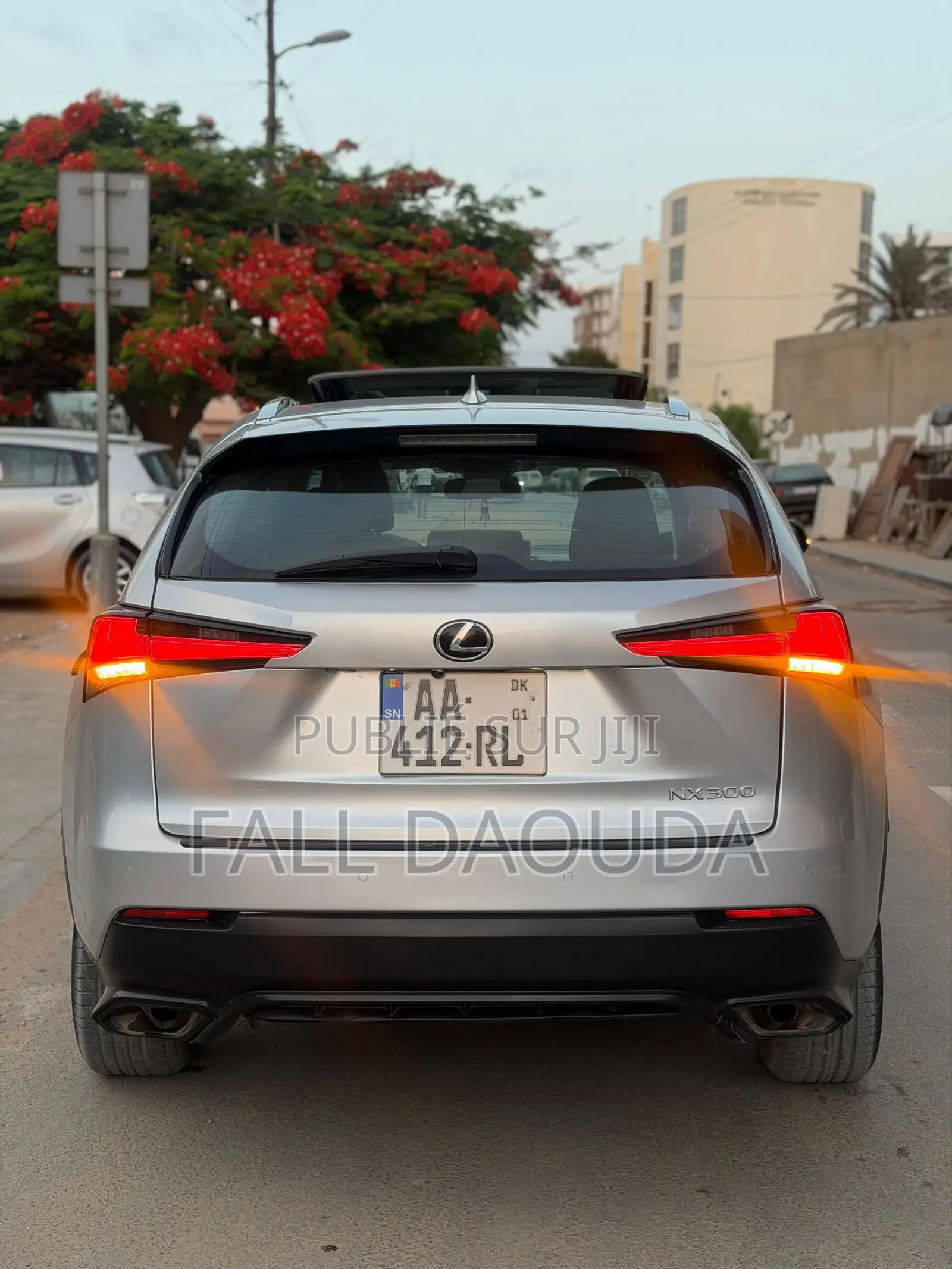 Lexus NX 2020 Gris