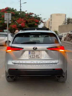 Lexus NX 2020 Gris