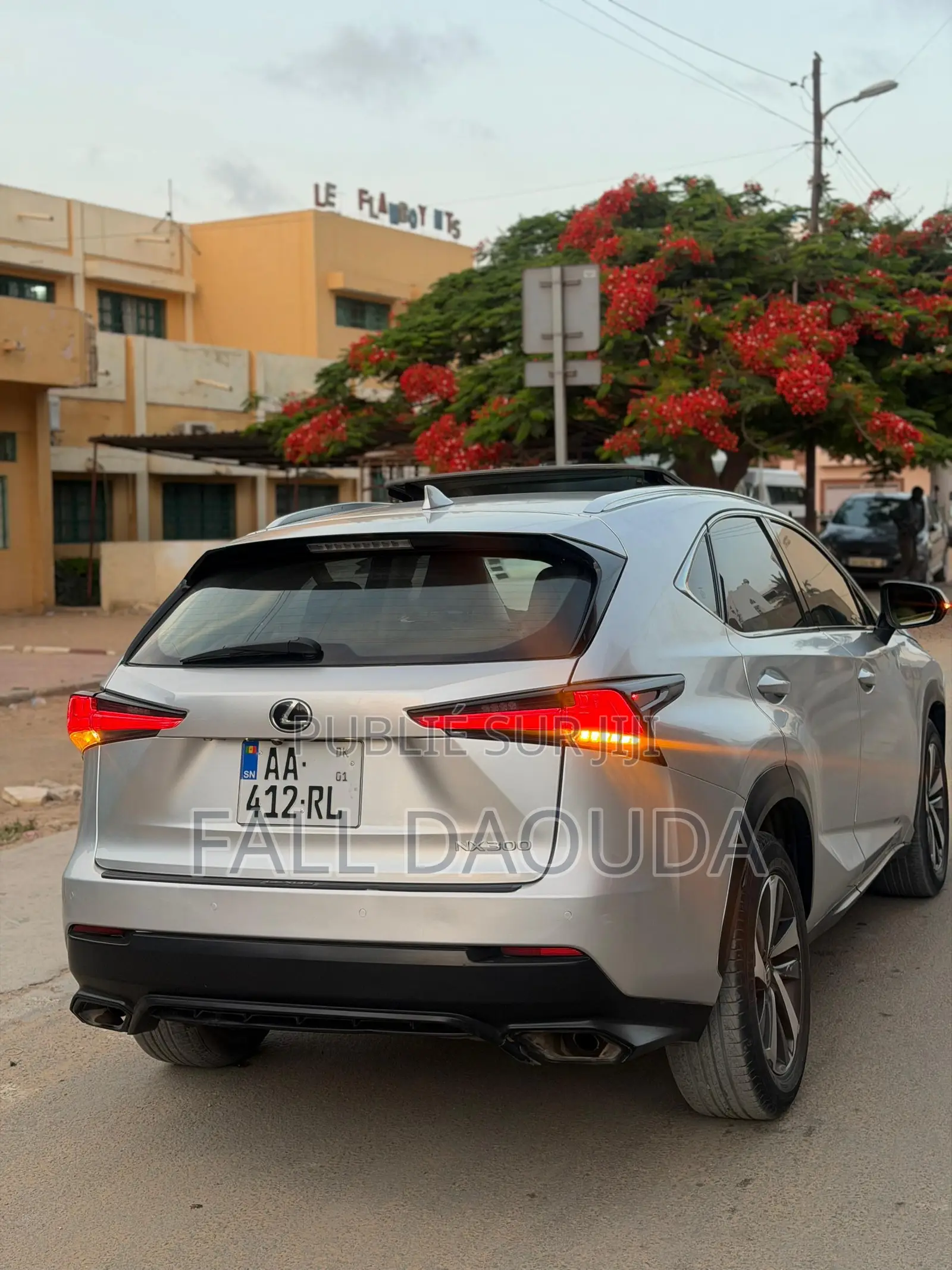 Lexus NX 2020 Gris