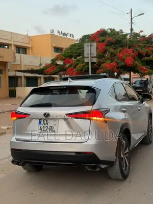 Lexus NX 2020 Gris