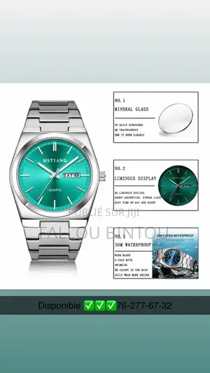 Montre Homme Luxe