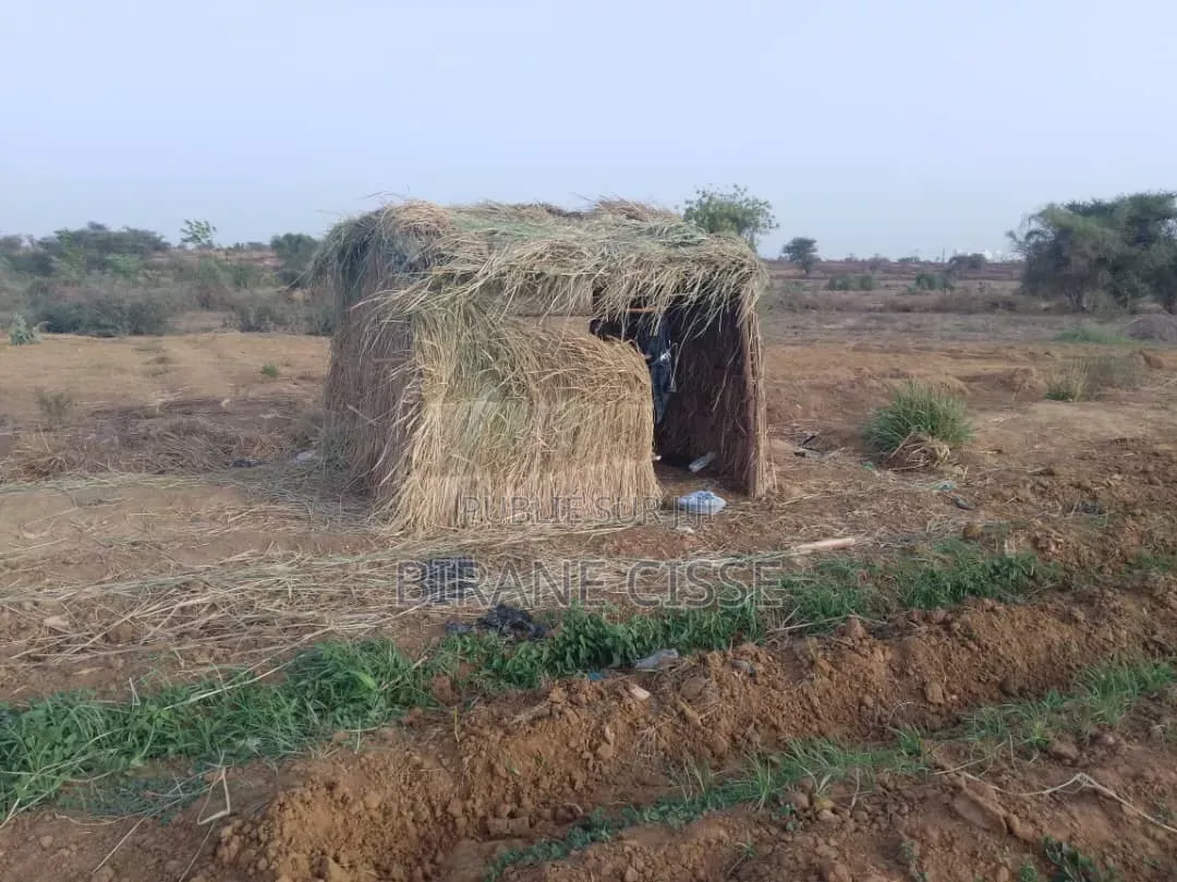 ​Terrain Agricole Fertile À Louer Ou Partenariat – Dagana