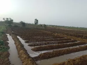 ​Terrain Agricole Fertile À Louer Ou Partenariat – Dagana