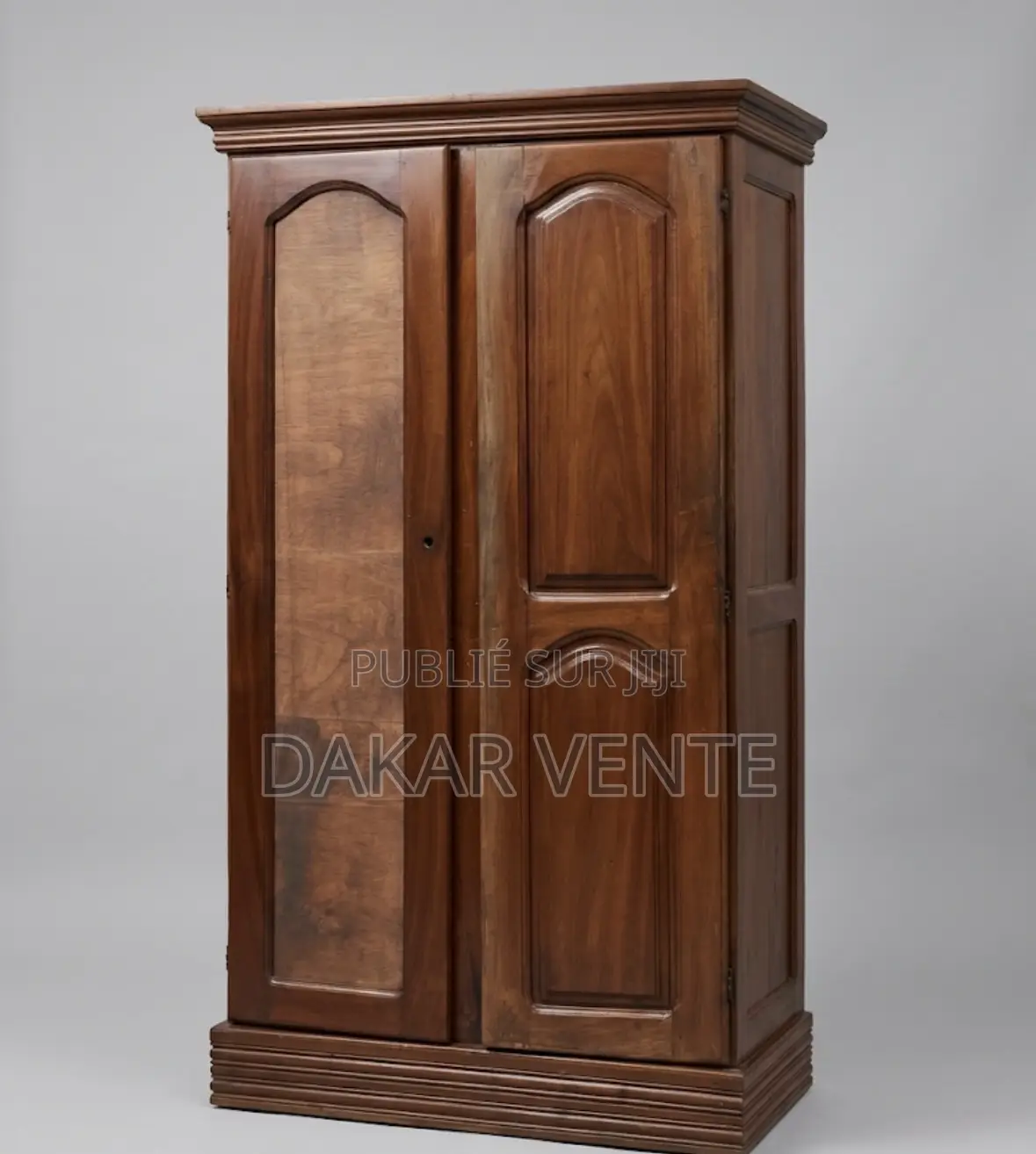 Armoire 2 Battants Marron en Bois Massif