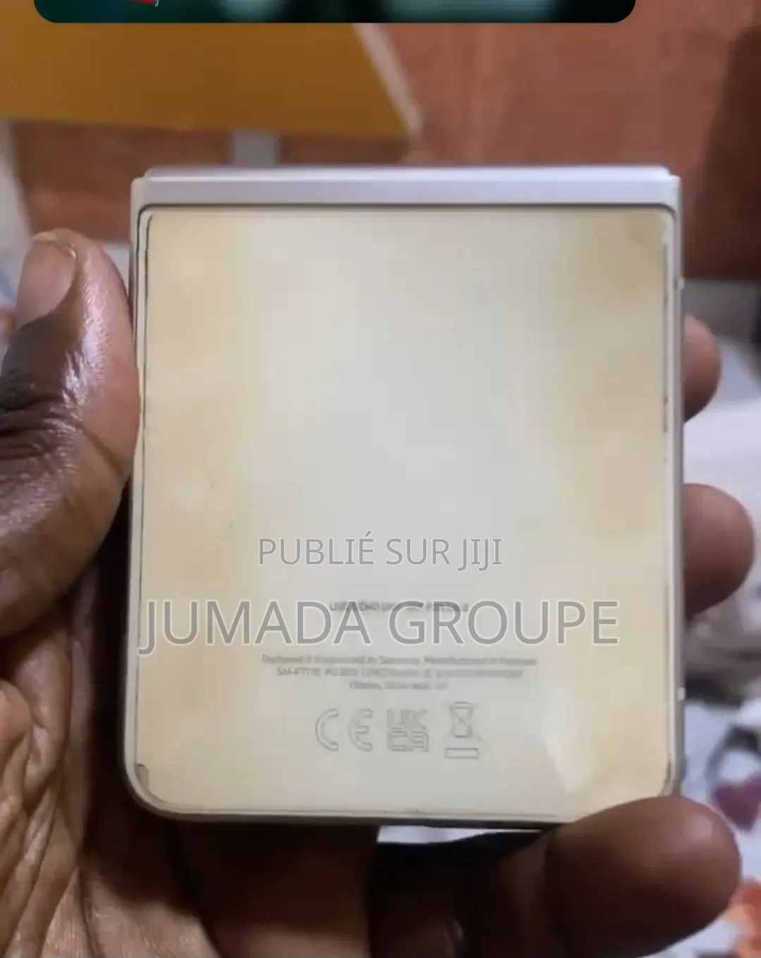 Samsung Galaxy Z Flip 3 256 GB Autre