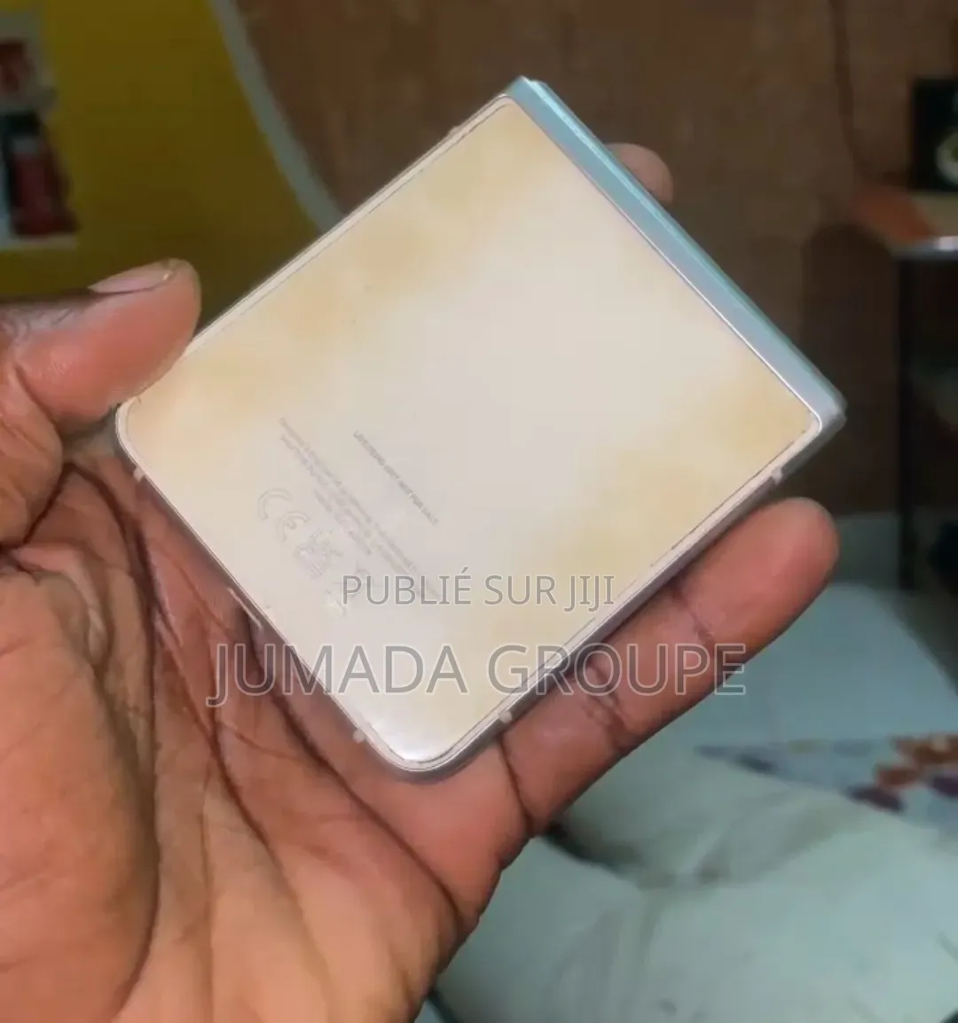 Samsung Galaxy Z Flip 3 256 GB Autre