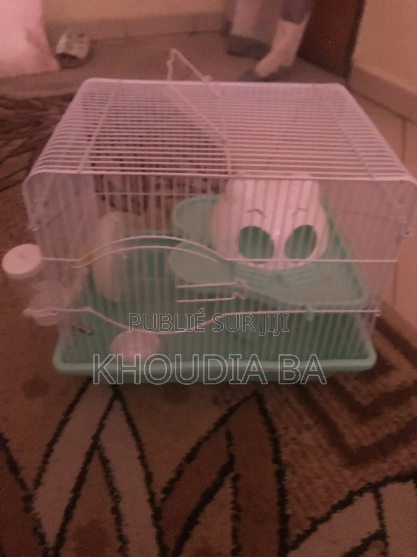 Cage Pour Hamster Et Petit Rongeur