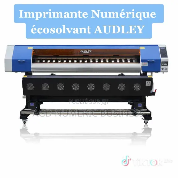 Machine d'Impression Numérique Écosolvant Audley