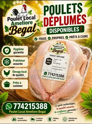Poulet Local Amélioré -goliath