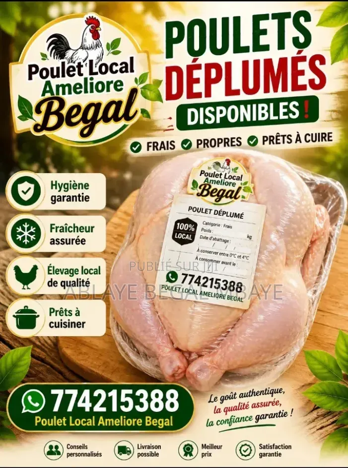 Poulet Local Amélioré -goliath