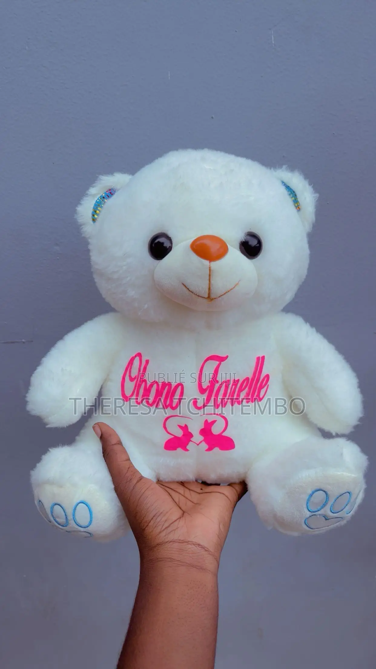 Peluche Personnalisée