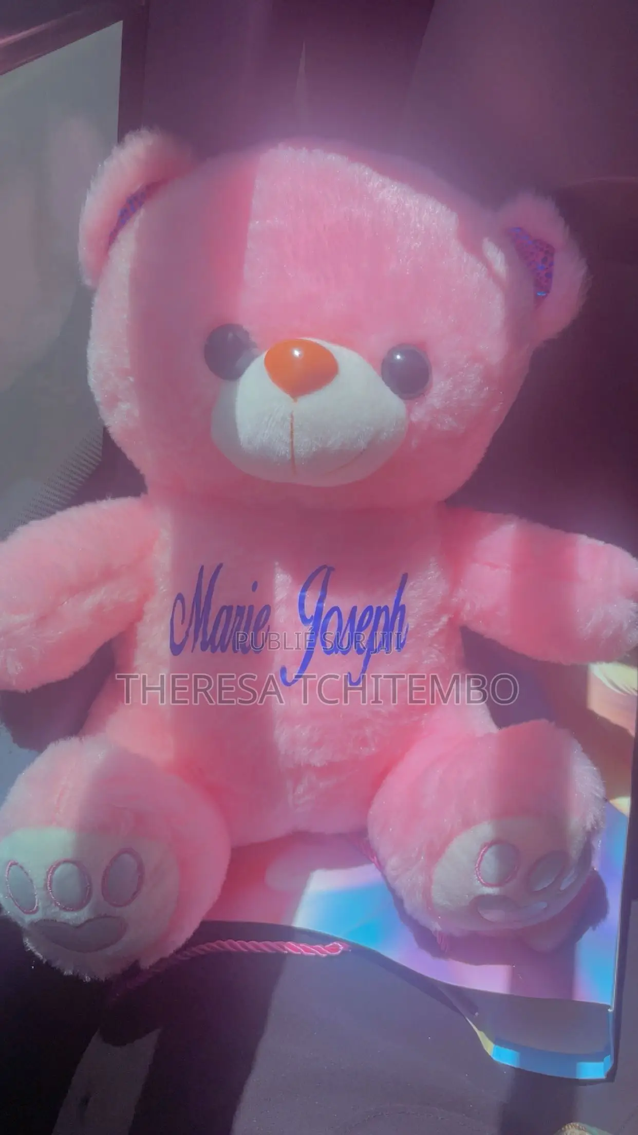 Peluche Personnalisée