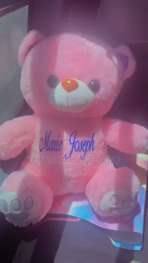 Peluche Personnalisée