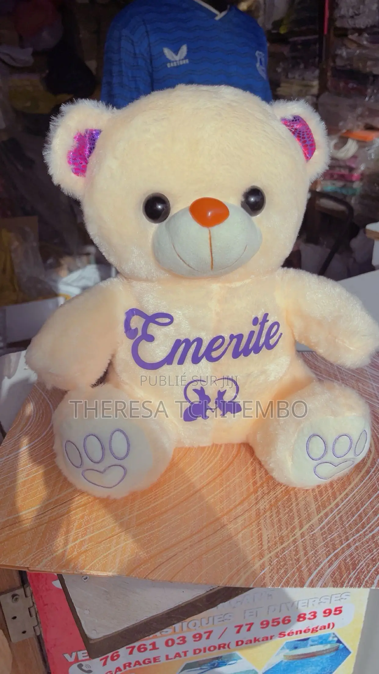 Peluche Personnalisée