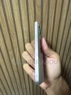 Nouveau Apple iPhone 13 256 GB Autre