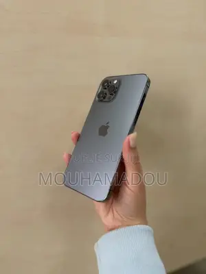 Nouveau Apple iPhone 12 Pro Max 256 GB Autre