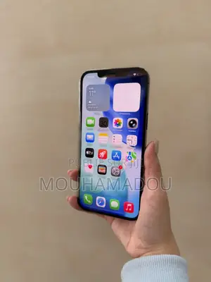 Nouveau Apple iPhone 12 Pro Max 256 GB Autre
