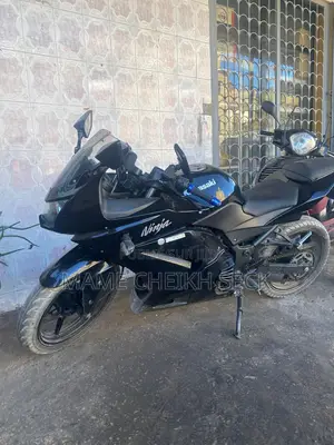 Kawasaki Ninja 300 2013 Noir