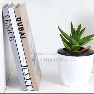 Faux Livres Décoratifs