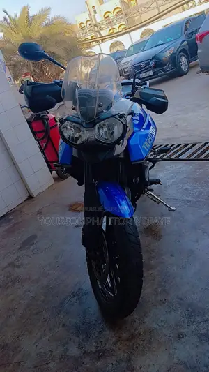 Triumph Bike 2017 Bleu
