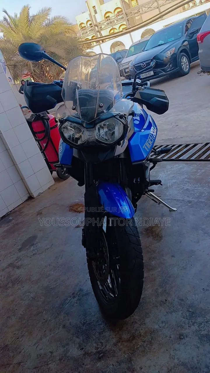 Triumph Bike 2017 Bleu