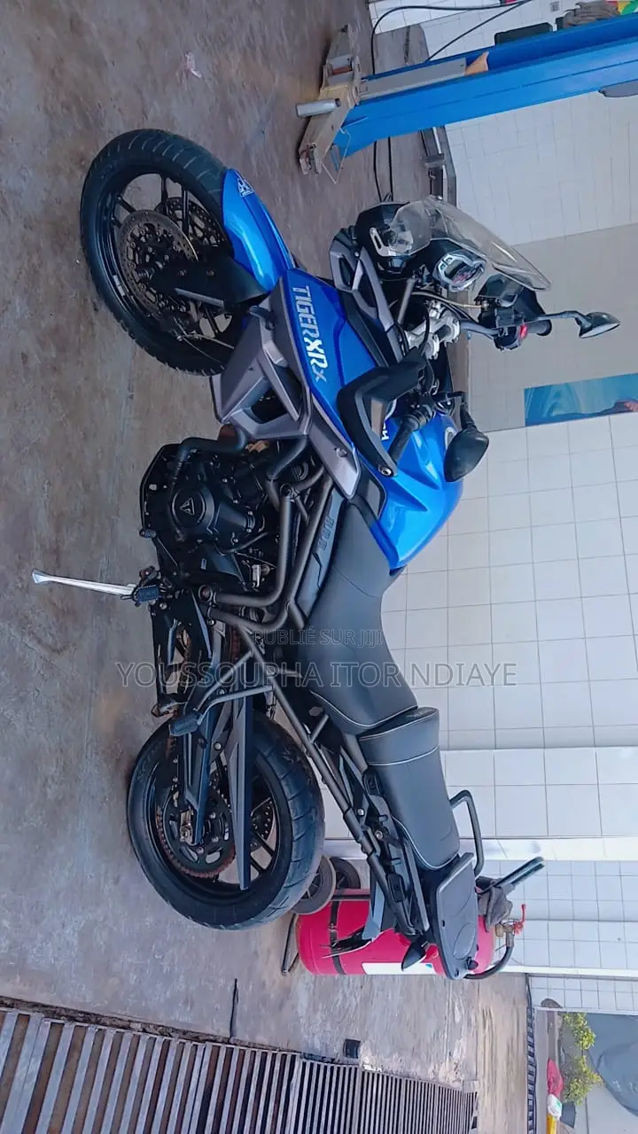 Triumph Bike 2017 Bleu
